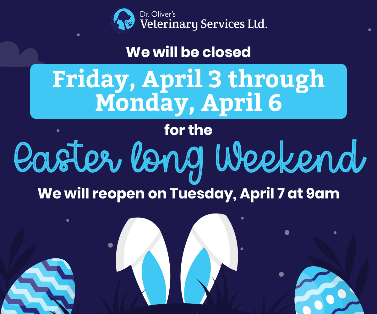 We will be closed Friday, April 3-Monday, April 6 for the Easter Long Weekend. We will reopen on Tuesday, April 7 at 9:00am