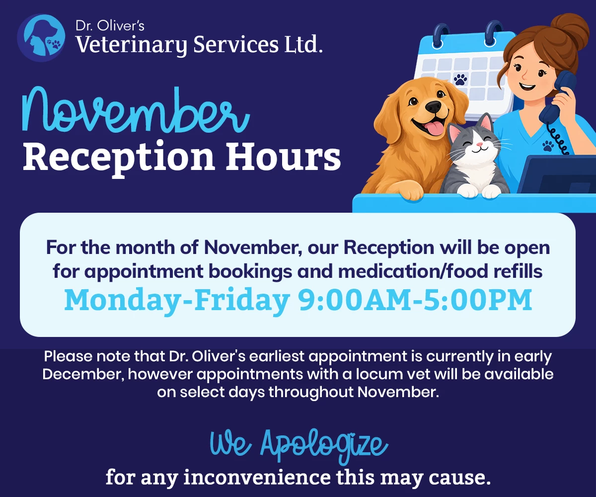 For the month of November, our Reception will be open for appointment bookings and medication/food refills Monday-Friday 9:00AM-5:00PM.