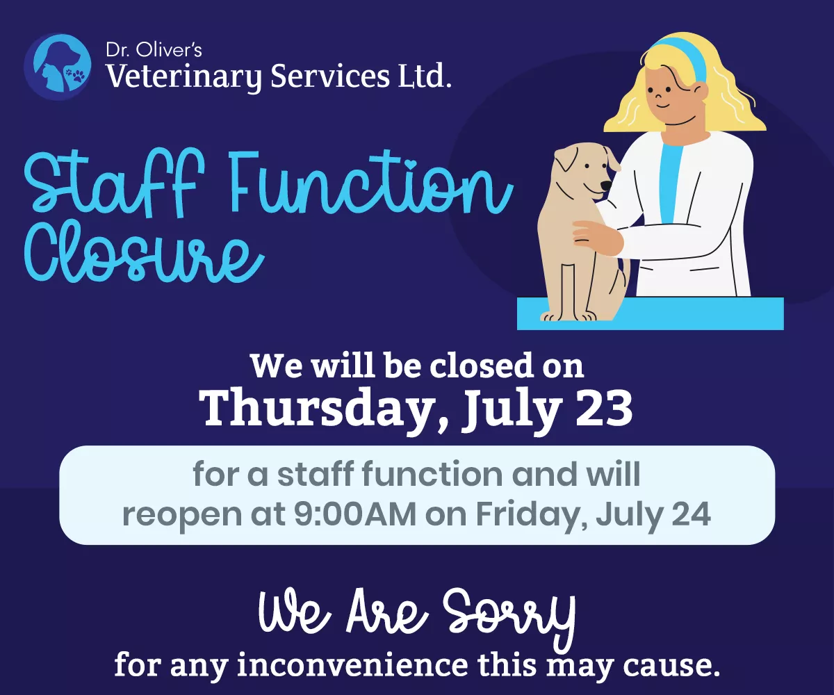 We will be closed on Thursday, July 23 for a staff function and will reopen at 9:00AM on Friday, July 24. We are sorry for any inconvenience this may cause.