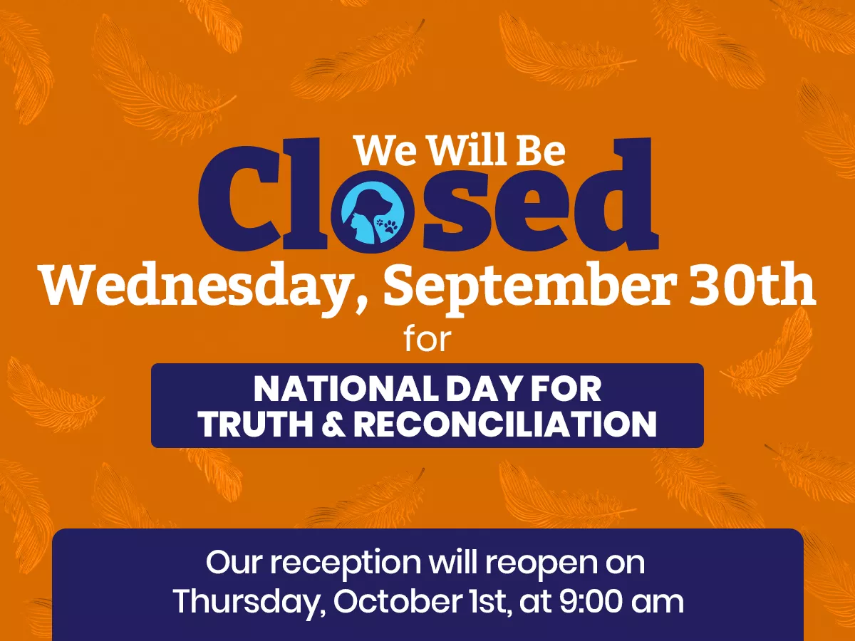 We will be closed on Wednesday, September 30th, for National Day for Truth and Reconciliation. Our reception will reopen on Thursday, October 1st, at 9:00 AM.
