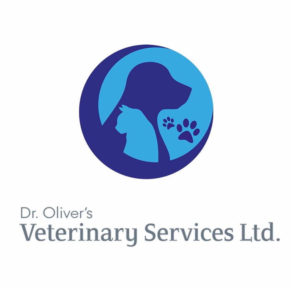 Tamara, Registered Veterinary Technician 